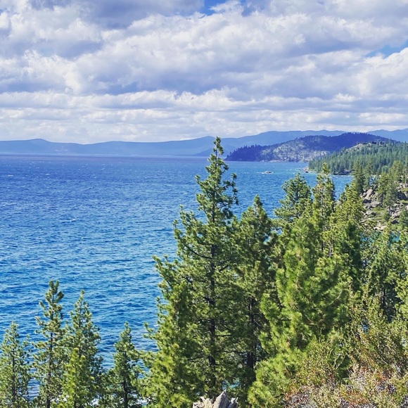 Meet your Posher, Katherine - Picture 1 of 1